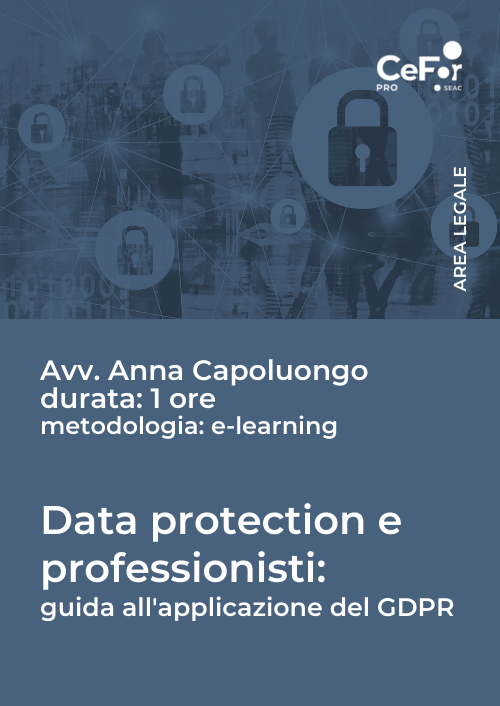 E-learning - Data protection e professionisti: guida all'applicazione del GDPR