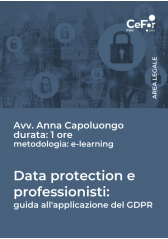 E-Learning - Data Protection E Professionisti: Guida All'applicazione Del Gdpr