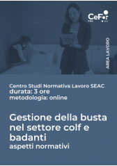 Gestione Della Busta Nel Settore Colf E Badanti - Aspetti Normativi Gestione Della Busta Nel Settore Colf E Badanti - Aspetti Normativi