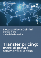 Transfer Pricing: Mezzi Di Prova E Strumenti Di Difesa