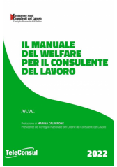 Il Manuale Del Welfare Per Il Consulente Del Lavoro