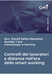 E-Learning - Controlli Dei Lavoratori A Distanza Nell'era Dello Smart Working E-Learning - Controlli Dei Lavoratori A Distanza Nell'era Dello Smart Working