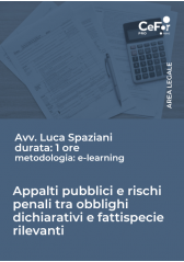 E-Learning - Appalti Pubblici E Rischi Penali Tra Obblighi Dichiarativi E Fattispecie Rilevanti E-Learning - Appalti Pubblici E Rischi Penali Tra Obblighi Dichiarativi E Fattispecie Rilevanti