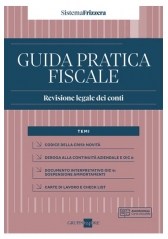 Revisione Legale Dei Conti 2022 Revisione Legale Dei Conti 2022