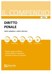 Compendio di Diritto Penale 2023