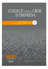 Codice Della Crisi D'impresa 2024