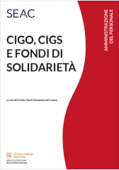 Cigo, Cigs E Fondi Di SolidarietÀ