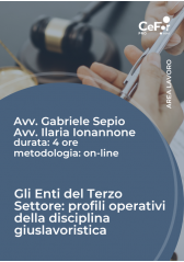 Gli Enti Del Terzo Settore: Profili Operativi Della Disciplina Giuslavoristica