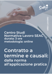 Contratto A Termine E Causali: Dalla Norma All'applicazione Pratica