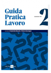 GUIDA PRATICA LAVORO 2/2024