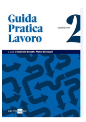 Guida Pratica Lavoro 2/2024