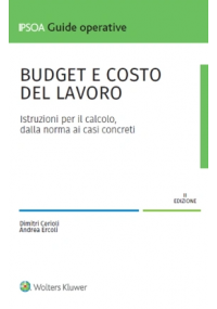 BUDGET E COSTO DEL LAVORO