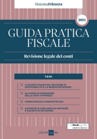 GUIDA PRATICA REVISIONE LEGALE DEI CONTI