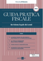 Guida Pratica Revisione Legale Dei Conti