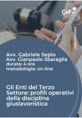 Gli Enti Del Terzo Settore: Profili Operativi Della Disciplina Giuslavoristica