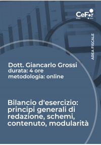 Bilancio d'esercizio: principi generali di redazione, schemi, contenuto, modularità