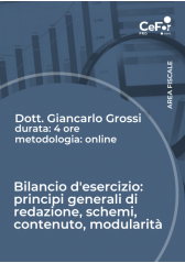 Bilancio D'esercizio: Principi Generali Di Redazione, Schemi, Contenuto, Modularità