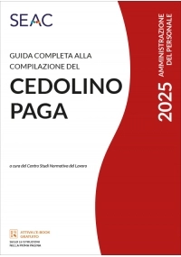 GUIDA COMPLETA ALLA COMPILAZIONE DEL CEDOLINO PAGA