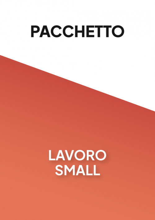 PACCHETTO LAVORO SMALL 2025