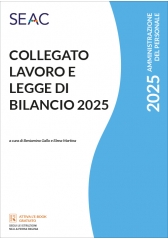 Collegato Lavoro E Legge Di Bilancio 2025