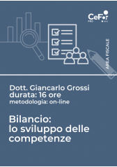 Bilancio: Lo Sviluppo Delle Competenze