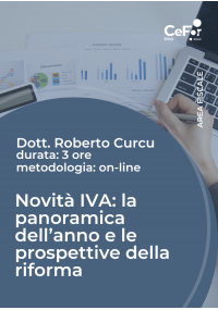 Novità IVA: la panoramica dell'anno e le prospettive della riforma