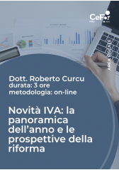 Novità Iva: La Panoramica Dell'anno E Le Prospettive Della Riforma