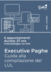 Executive Paghe - Guida Alla Compilazione Del Lul