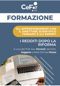 Gli approfondimenti con il Direttore Scientifico Ferranti e gli esperti: i Redditi dopo la Riforma