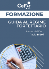 Guida Al Regime Forfettario