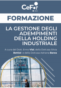 La gestione degli adempimenti della Holding Industriale