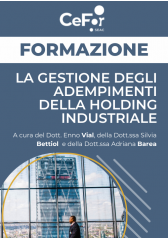 La Gestione Degli Adempimenti Della Holding Industriale