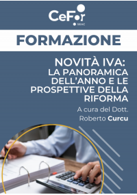 Novità IVA: la panoramica dell'anno e le prospettive della riforma