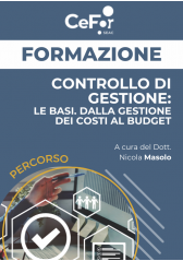 Controllo Di Gestione: Le Basi. Dalla Gestione Dei Costi Al Budget