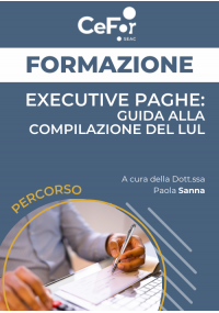 EXECUTIVE PAGHE: guida alla compilazione del LUL