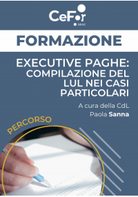 EXECUTIVE PAGHE: compilazione del LUL nei casi particolari (Ed. Dicembre)