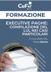 Executive Paghe: Compilazione Del Lul Nei Casi Particolari (Ed. Novembre) Executive Paghe: Compilazione Del Lul Nei Casi Particolari (Ed. Novembre)