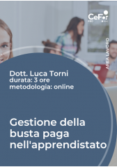 Gestione Della Busta Paga Nell'apprendistato Gestione Della Busta Paga Nell'apprendistato