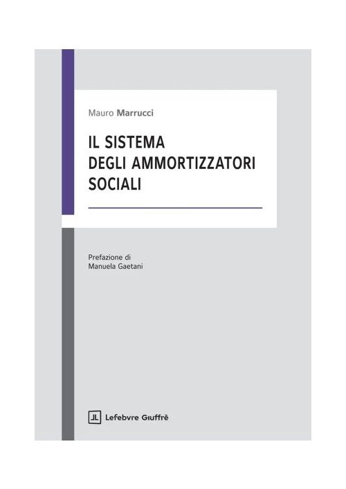 IL SISTEMA DEGLI AMMORTIZZATORI SOCIALI
