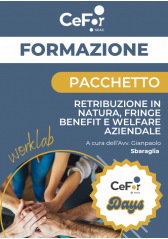 Pacchetto Worklab: Retribuzione In Natura, Fringe Benefit E Welfare Aziendale | Offerta Cefor Days Pacchetto Worklab: Retribuzione In Natura, Fringe Benefit E Welfare Aziendale | Offerta Cefor Days