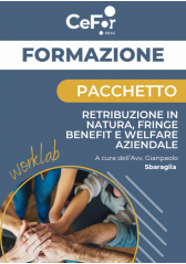 Pacchetto Worklab: Retribuzione In Natura, Fringe Benefit E Welfare Aziendale Pacchetto Worklab: Retribuzione In Natura, Fringe Benefit E Welfare Aziendale
