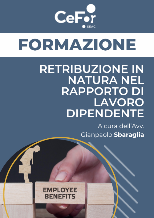 Retribuzione in Natura nel Rapporto di Lavoro Dipendente