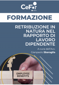 Retribuzione in Natura nel Rapporto di Lavoro Dipendente