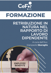 Retribuzione In Natura Nel Rapporto Di Lavoro Dipendente
