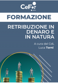 Retribuzione in Denaro e in Natura