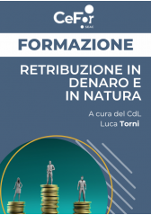 Retribuzione In Denaro E In Natura Retribuzione In Denaro E In Natura