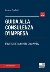Guida Alla Consulenza D'impresa Guida Alla Consulenza D'impresa