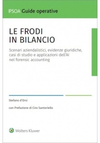 LE FRODI DI BILANCIO