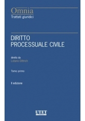 Diritto Processuale Civile