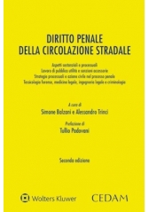 Diritto Penale Della Circolazione Stradale